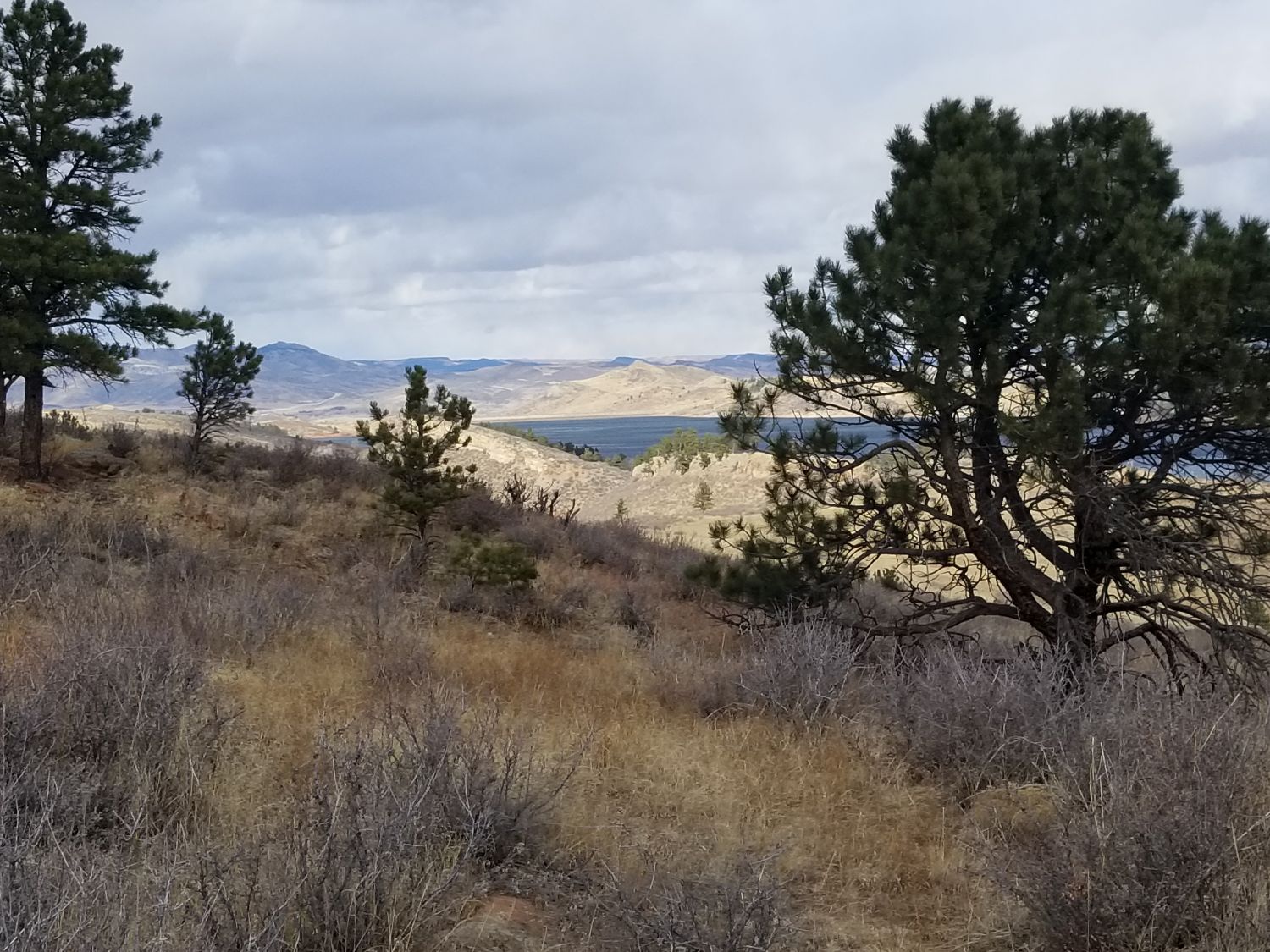 Shoreline and Quarry Ridge 